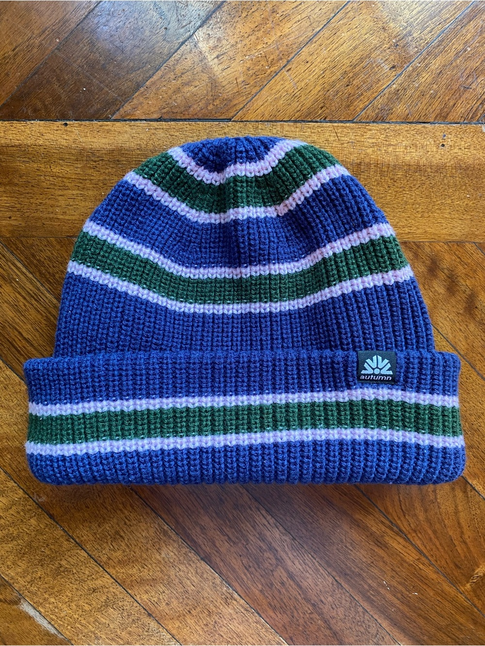 Autumn Striped Knit Beanie in Blue, Green & Lavender NWOT Winter Hat Skater Snow